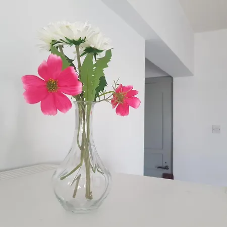 Cozy Holyday Lägenhet Paralimni