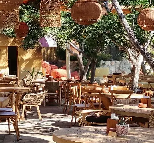 Cozy Holyday Lejlighed Paralimni