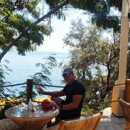 Cozy Holyday *