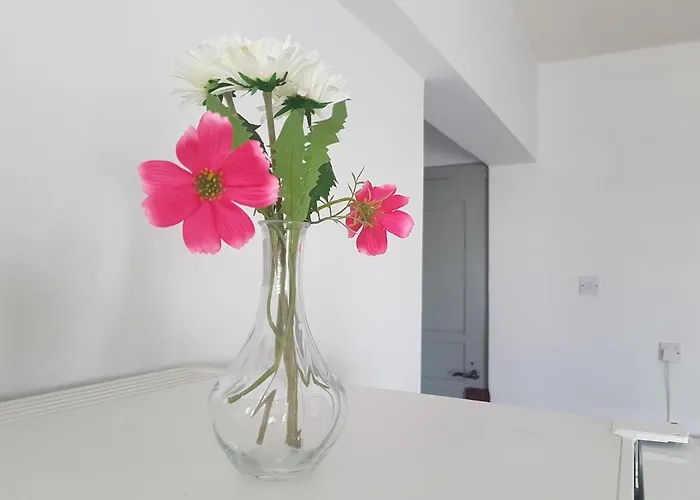 Cozy Holyday Apartament Paralimni